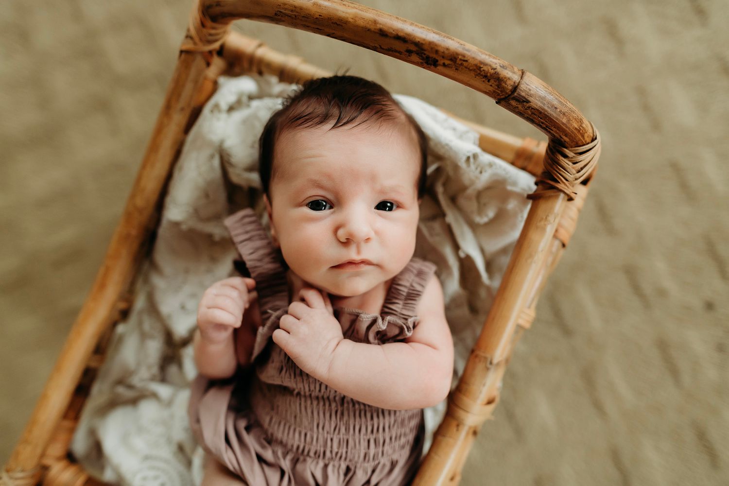 Fenton Michigan Newborn Photographer