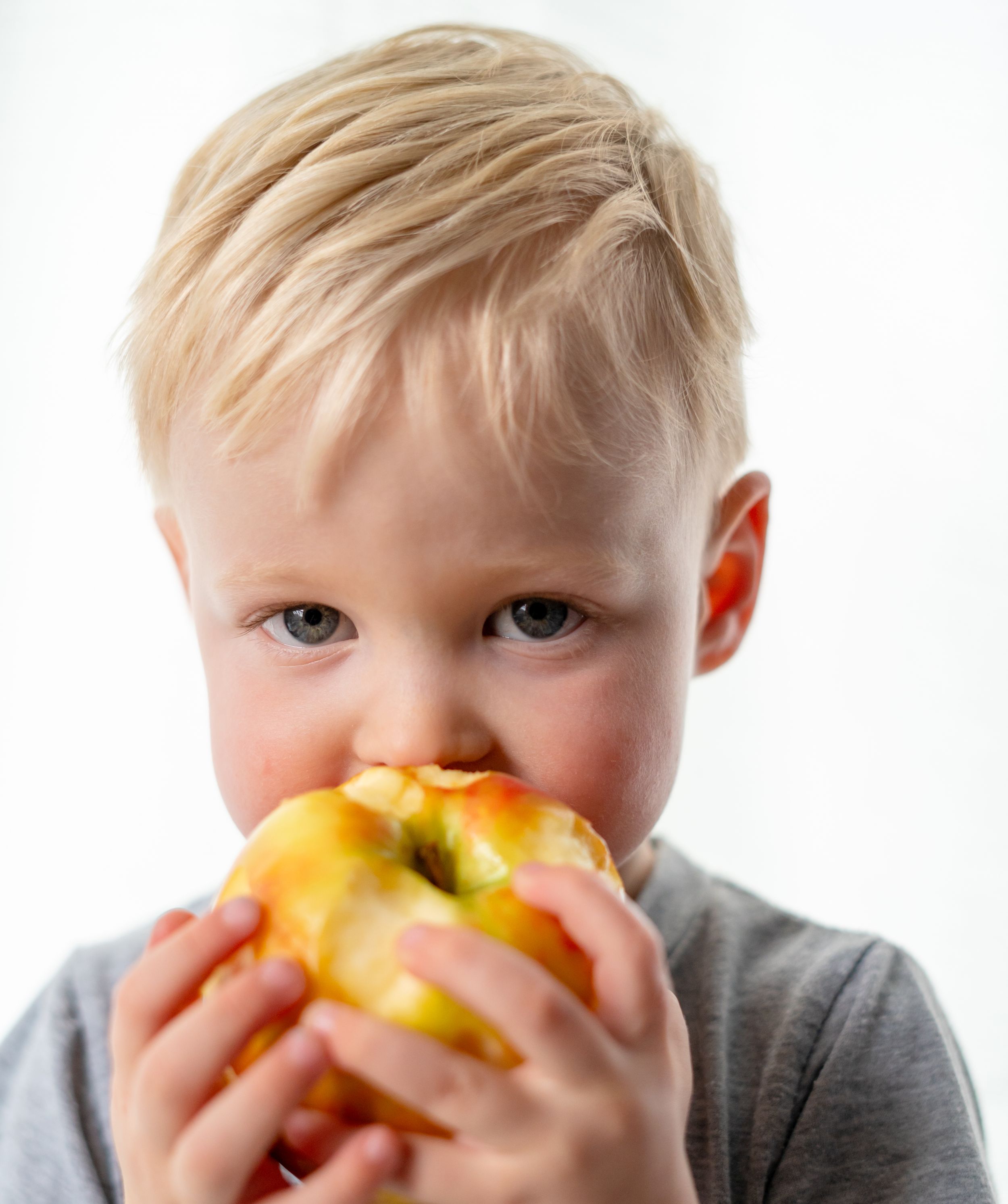 Young child in gray shirt takes big bite of yellow apple against white background.