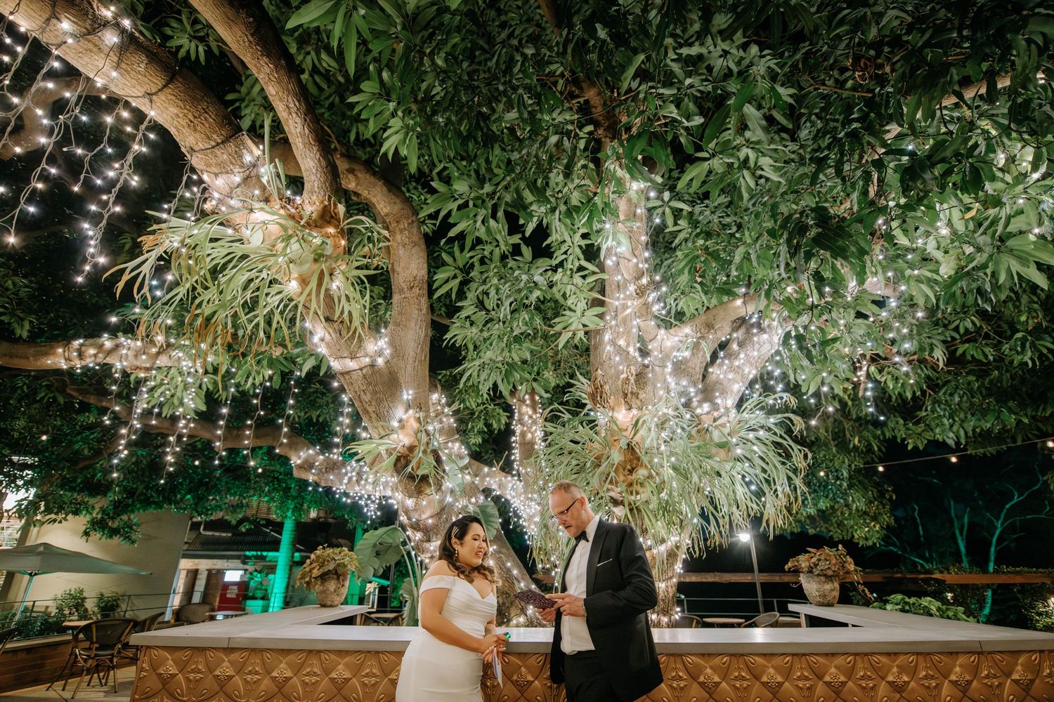 Romantic evening wedding scene with string lights illuminating trees and palm fronds creating a magical atmosphere.