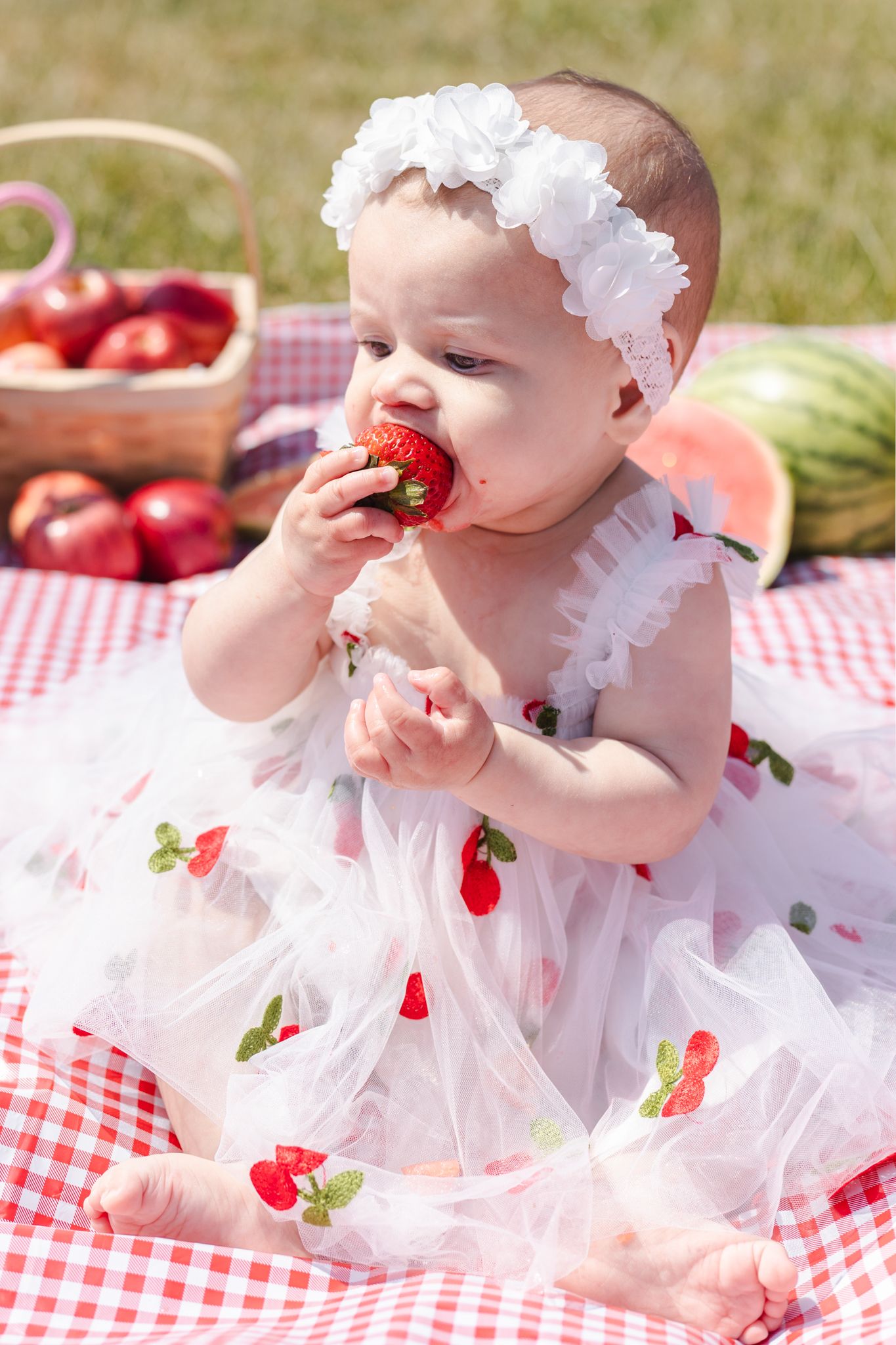 A summer picnic scene with strawberries and watermelon on a red checkered blanket.