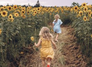sisters, little girls, running through sunflower field, playing tag, fun, candid, family photographer, Moncton, Riverview, Dieppe.