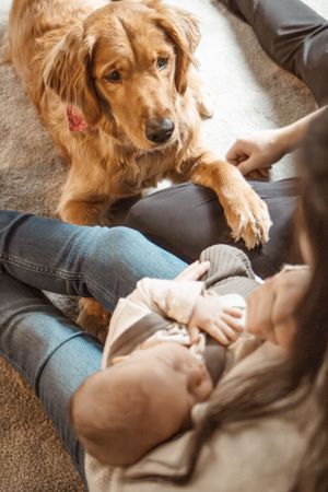 newborn, dog looking at baby, mom holding baby, family photography, Moncton, Riverview, Dieppe.