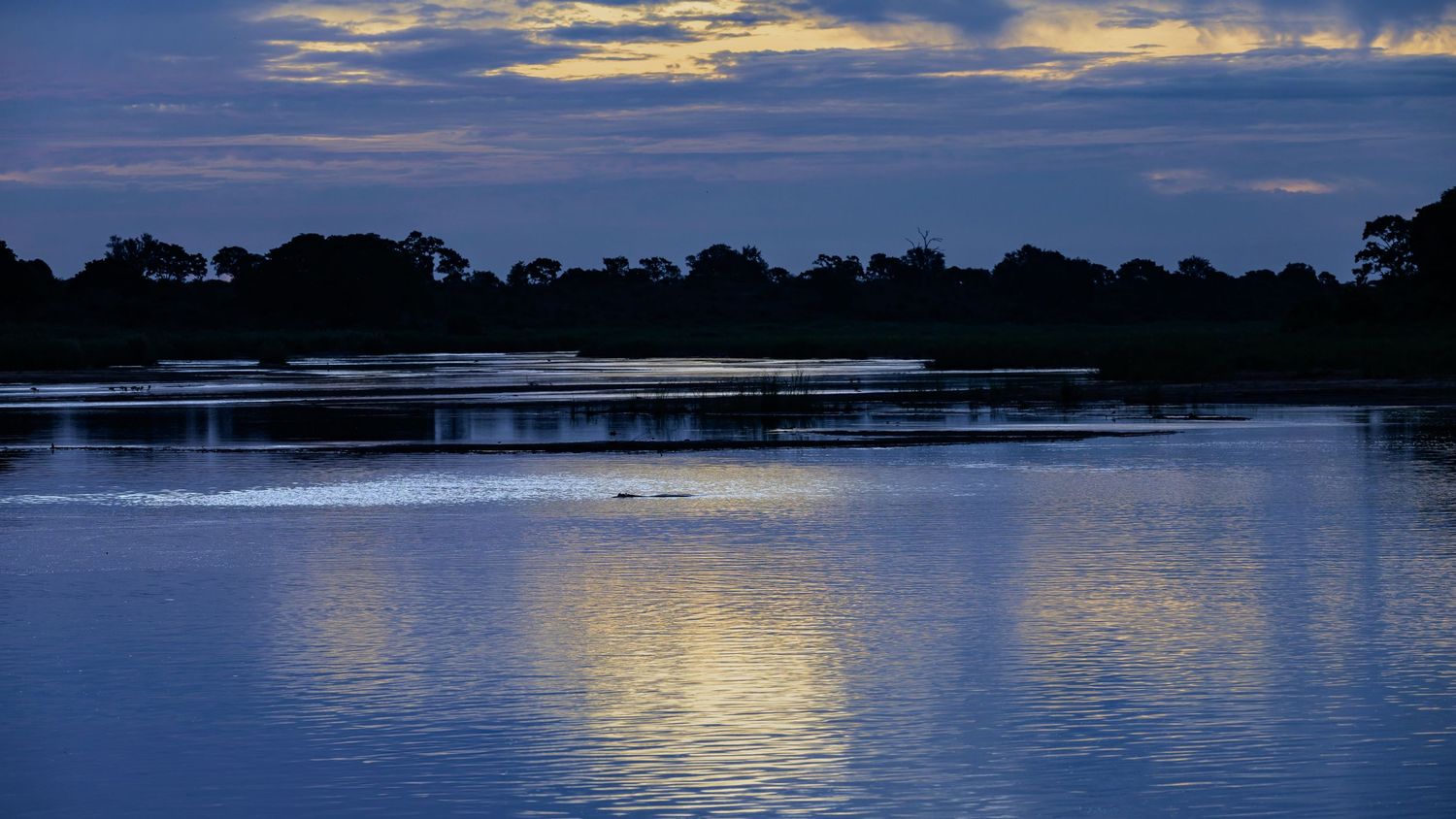 Green-backed (Striated) Heron reflected in the calm water of Sunset Dam, Lower Sabie Rest Camp, Kruger National Park.