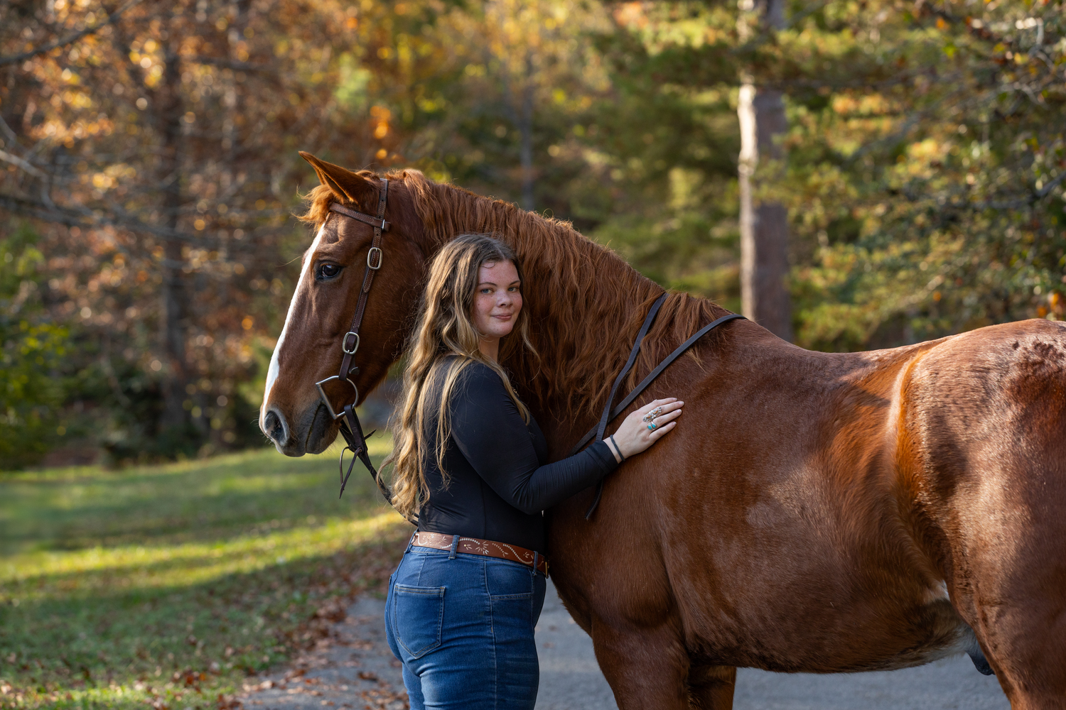 Person in dark clothing embracing a brown horse outdoors in autumn sunlight.