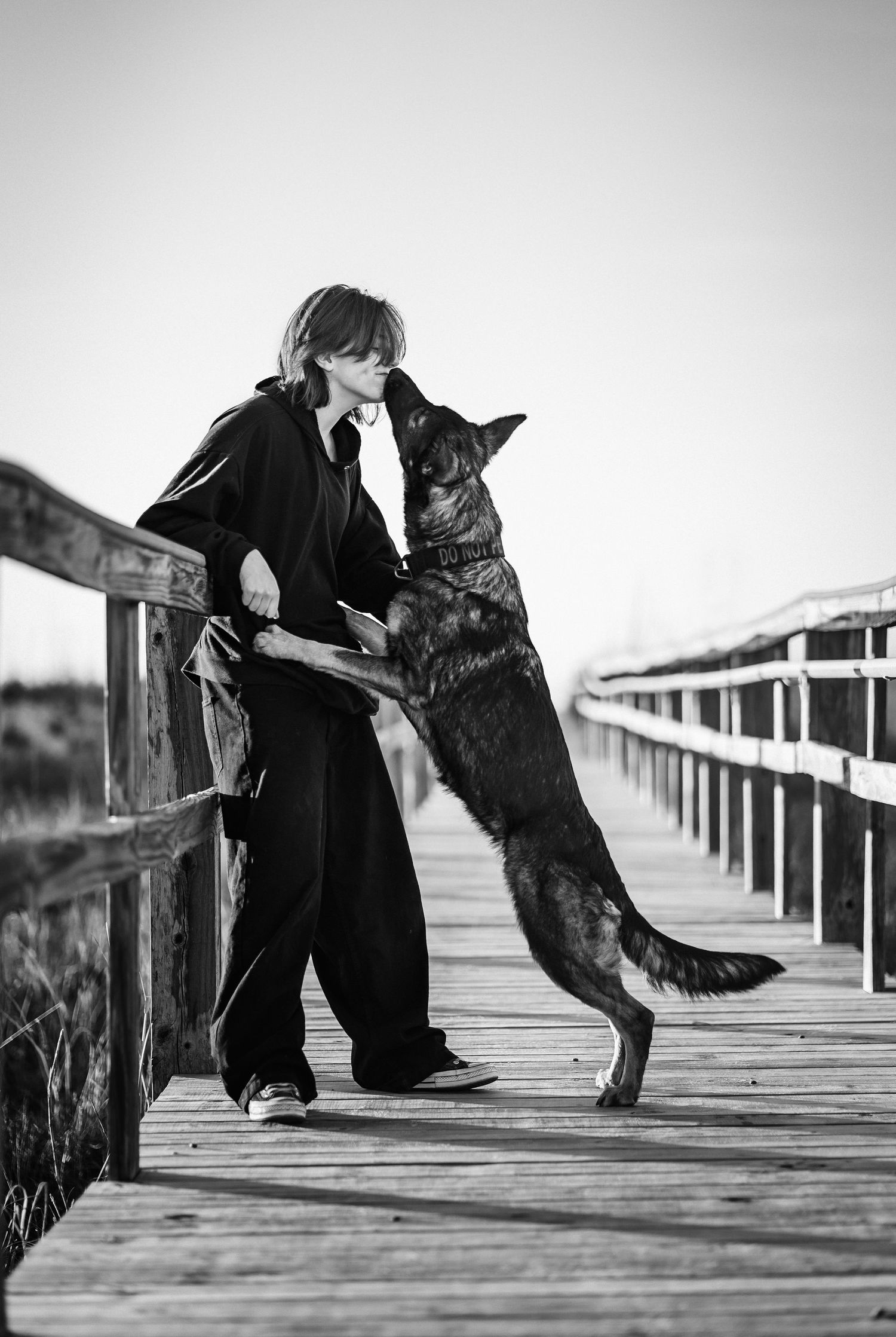 Fine art Pensacola dog photoshoot