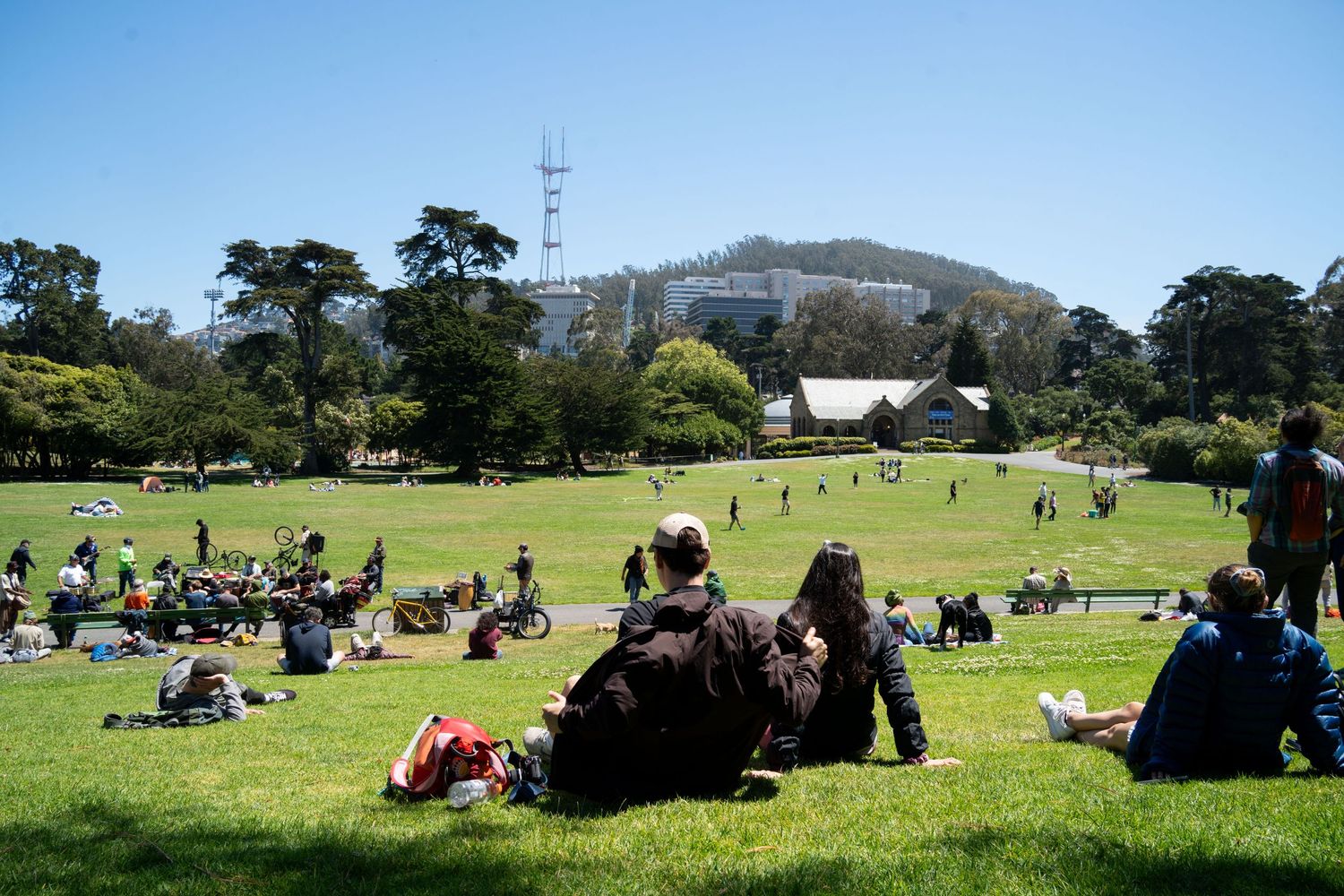 People relaxing on a grassy hillside park overlooking the ocean on a sunny day.