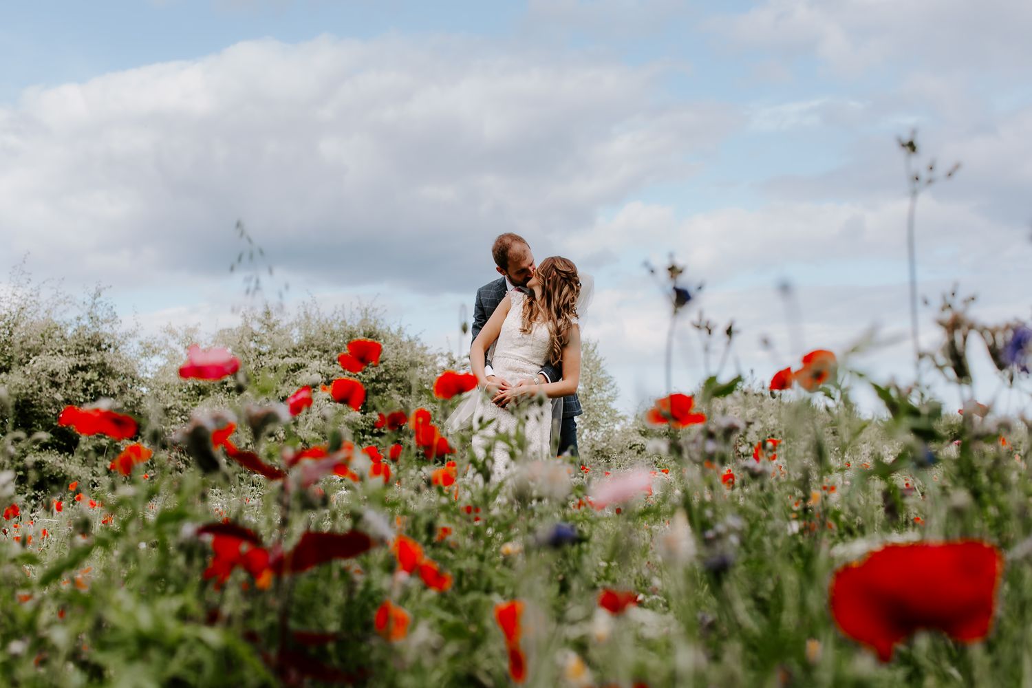 wild flowers