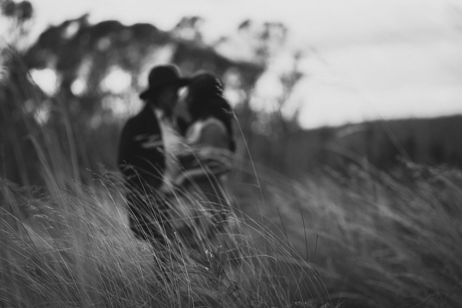 Dramatic black and white photo of tall grass swaying in the wind during golden hour.