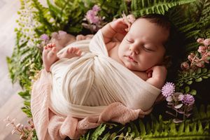 baby in ferns newborn session prop
