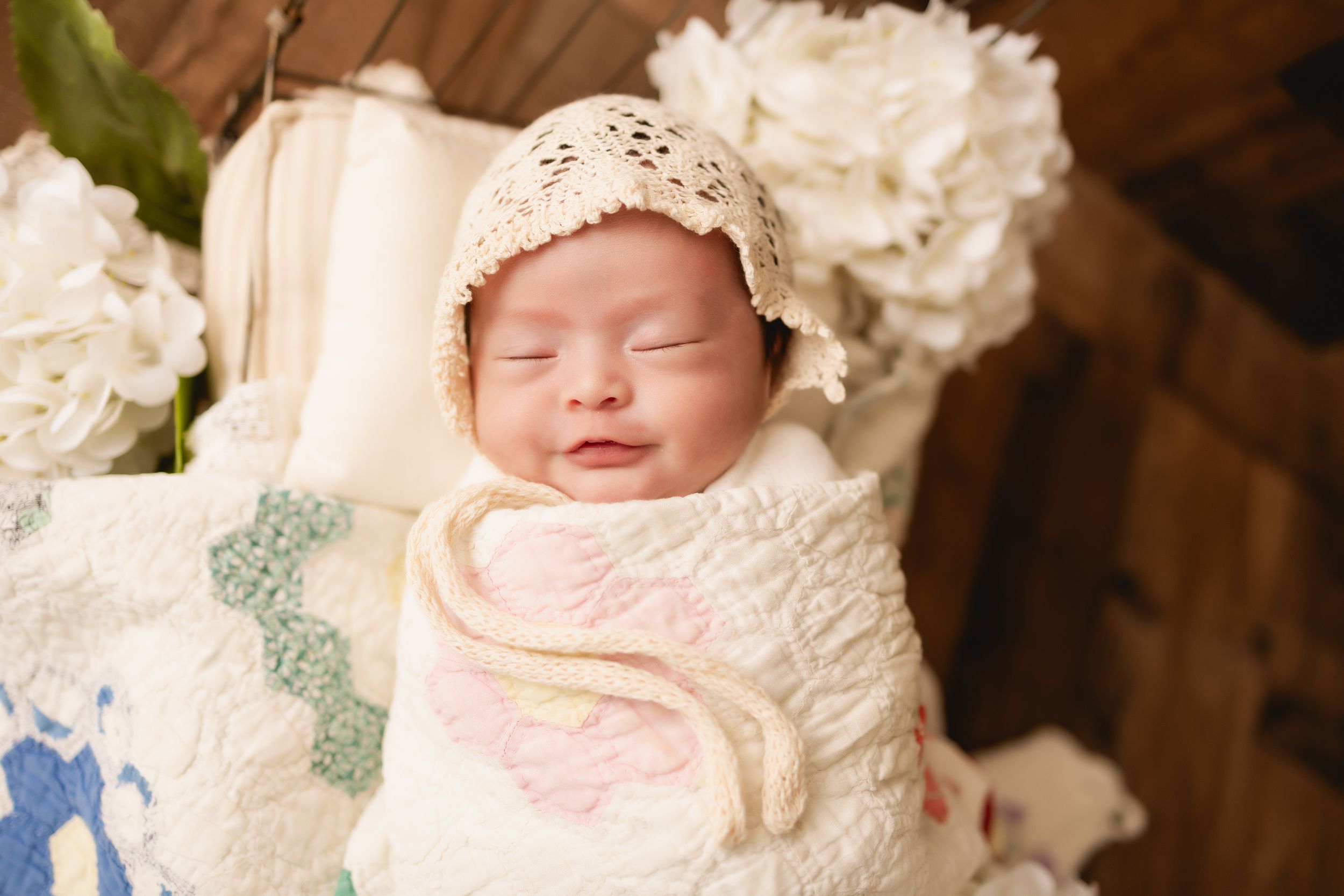 nature and vintage inspired newborn photography photo