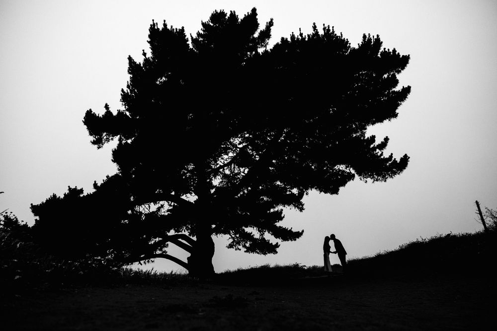 Silhouettes of trees and figures against a dramatic grey sky.