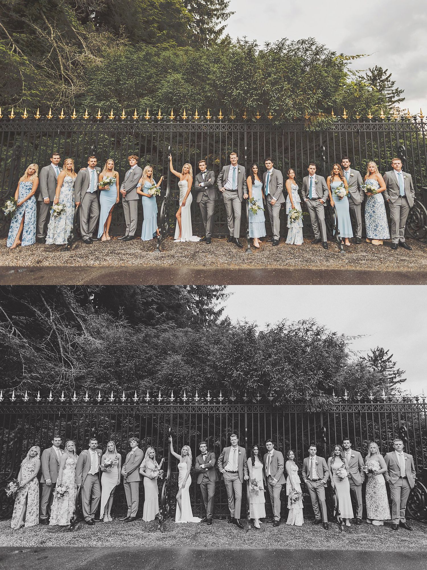 Wedding party poses along decorative iron fence in mix of formal attire.
