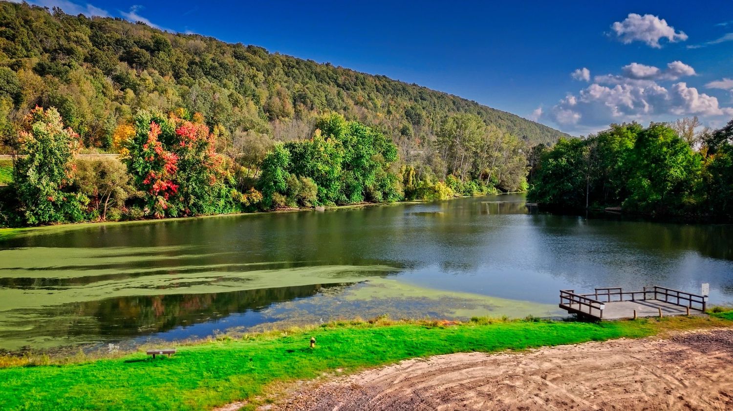 Casterline Pond Homer NY Fall Leaves