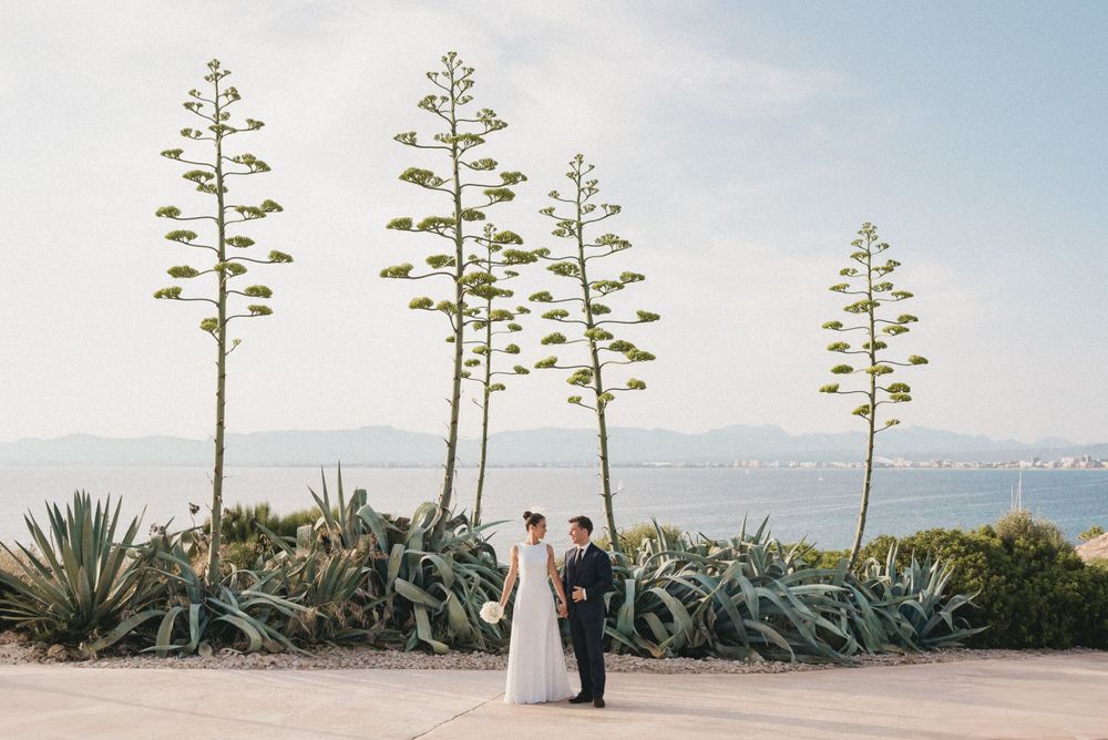 Wedding couple standing among tall agave plants against a coastal backdrop.