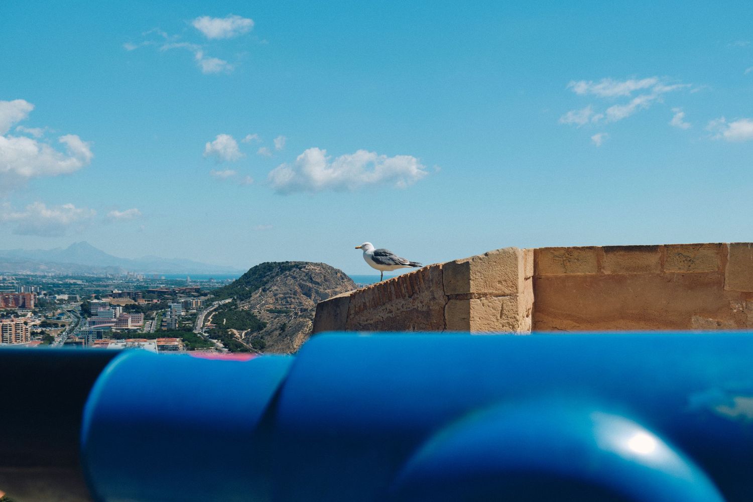 Blue telescope overlooking a coastal city with a seagull perched on the wall.