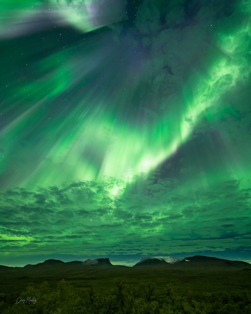 Aurora