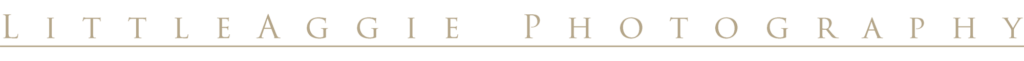 Elegant gold typography forming "LITTLEAGGIE PHOTOGRAPHY" text on a transparent background.