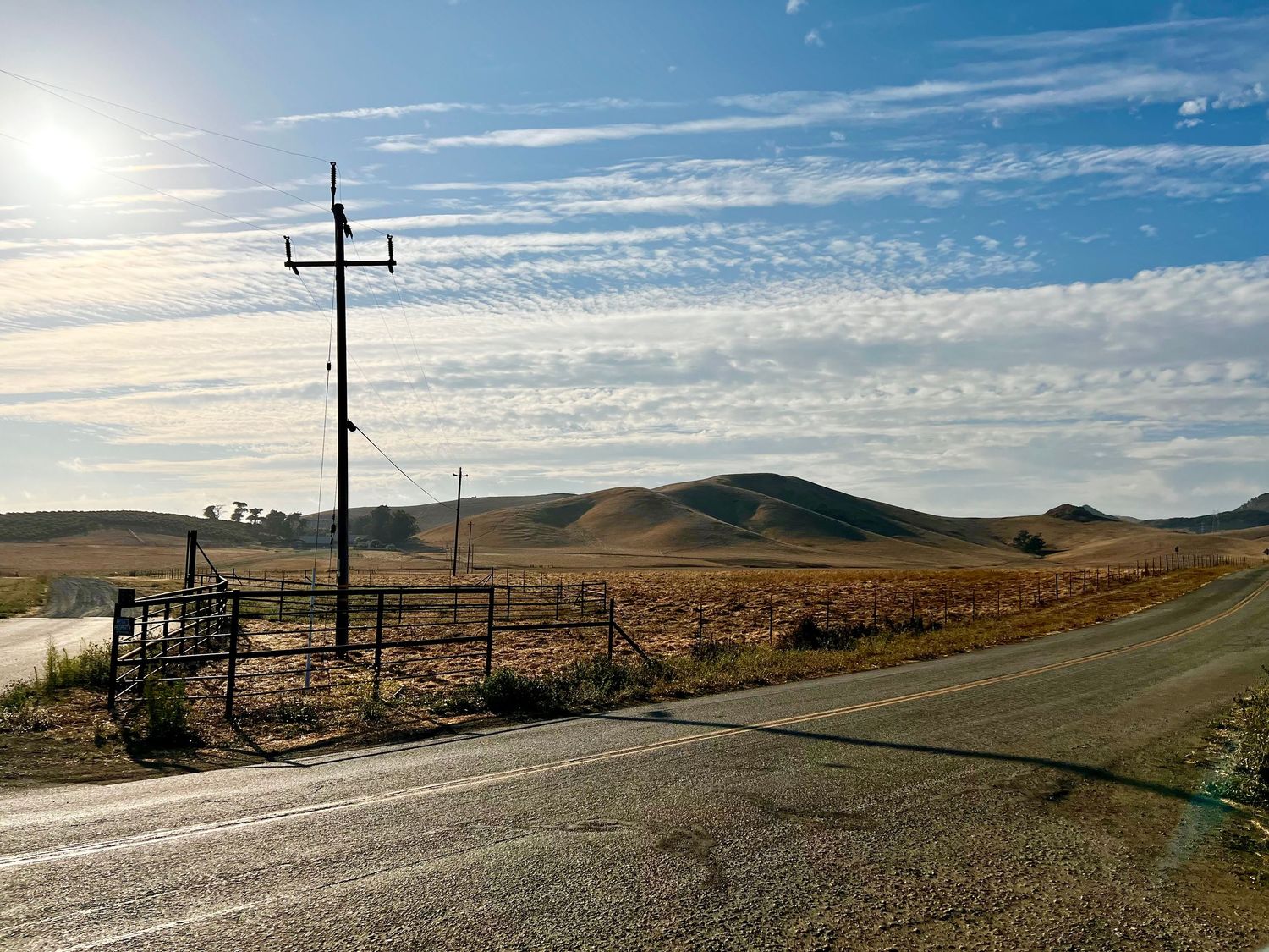 deserted road along a field at golden hour