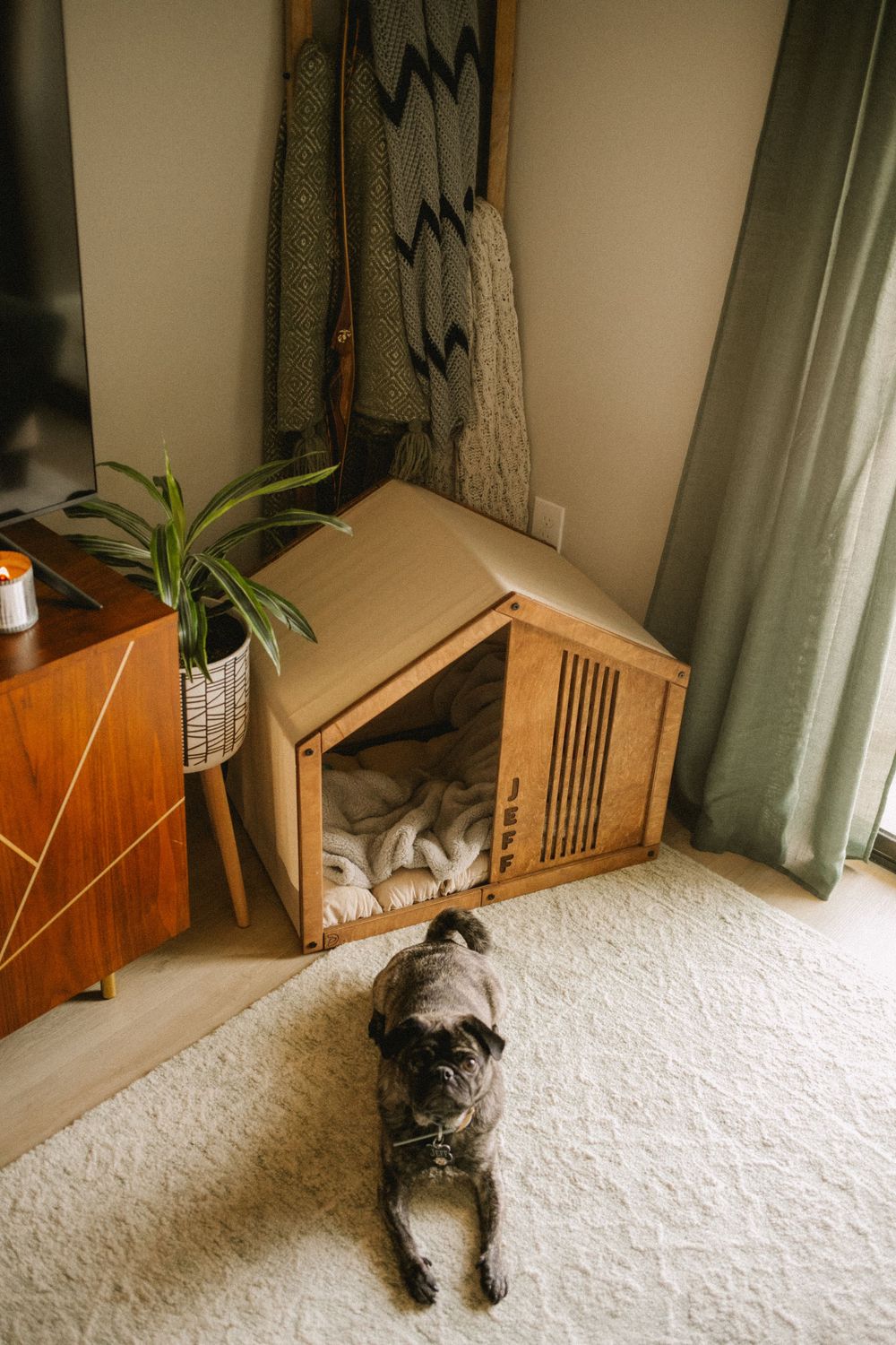 A pug dog lying on white carpet in front of a modern wooden dog kennel crate in a cozy living room.