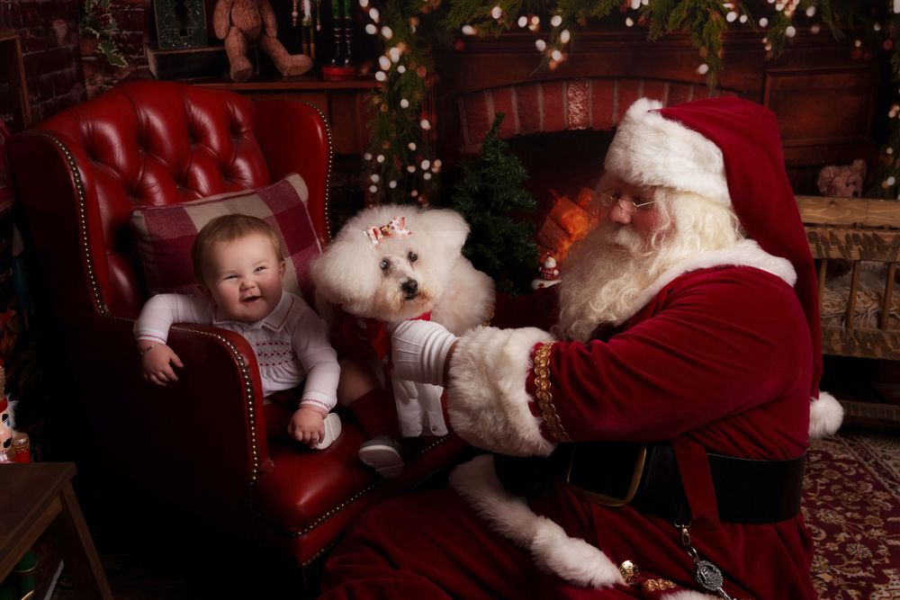 A charming holiday moment captured in front of a decorated Christmas backdrop.