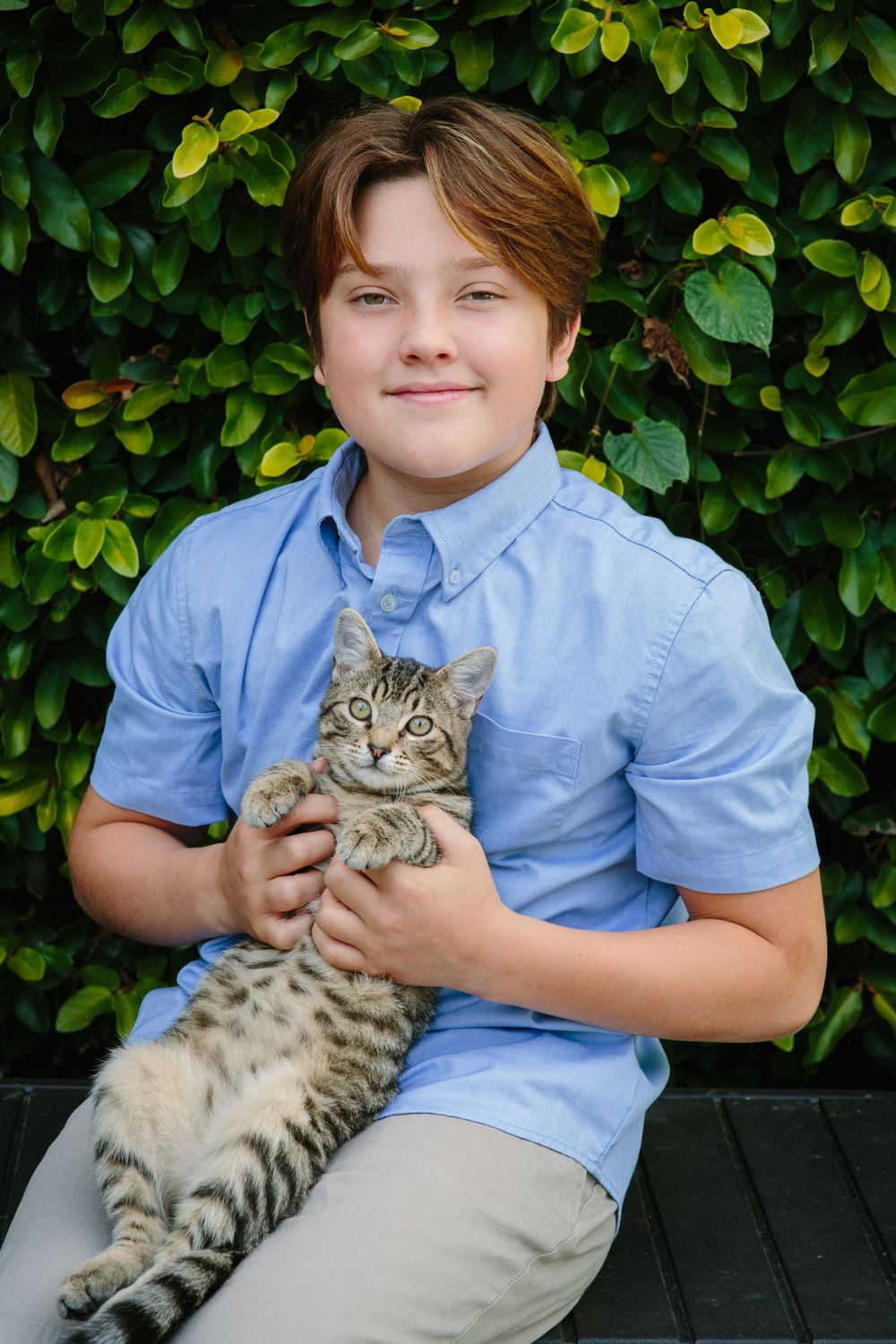 A tabby cat being held by someone in a light blue button-down shirt against a leafy green backdrop.