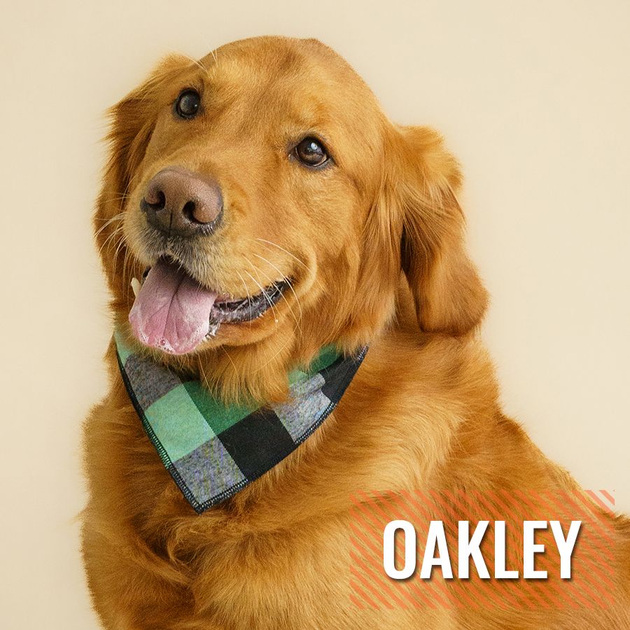Oakley