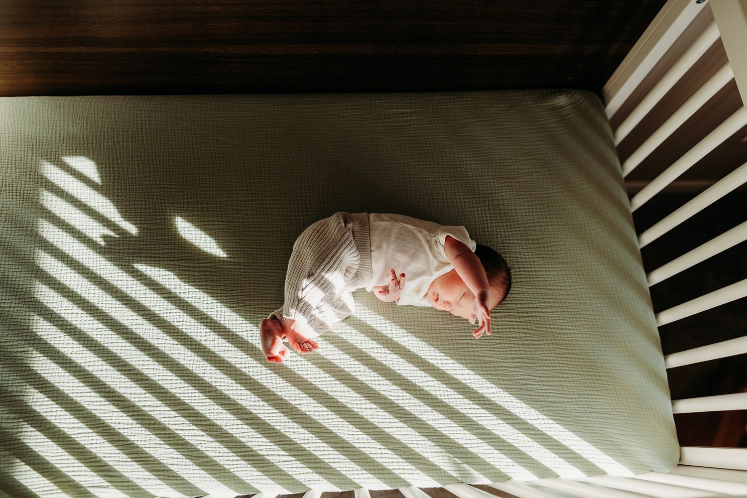 Wixom Michigan Newborn Photographer