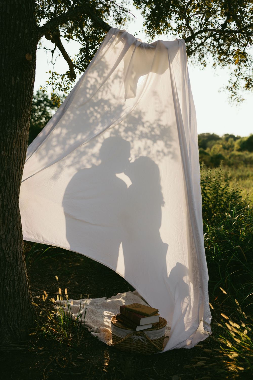 White sheet hanging between trees creates ethereal shadows in golden afternoon sunlight.