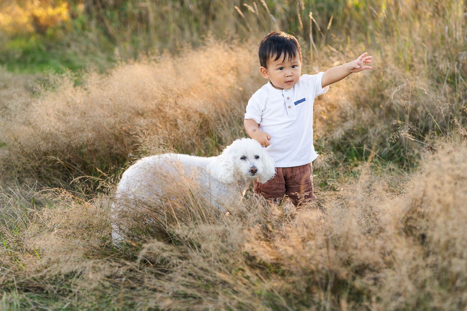 Toddler and white dog at Marymoor park in Redmond.