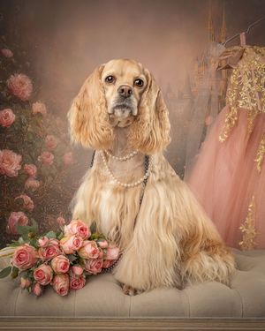 Elegant Cocker Spaniel wearing pearl necklace posed with pink roses and a gold gown on a vintage floral background.