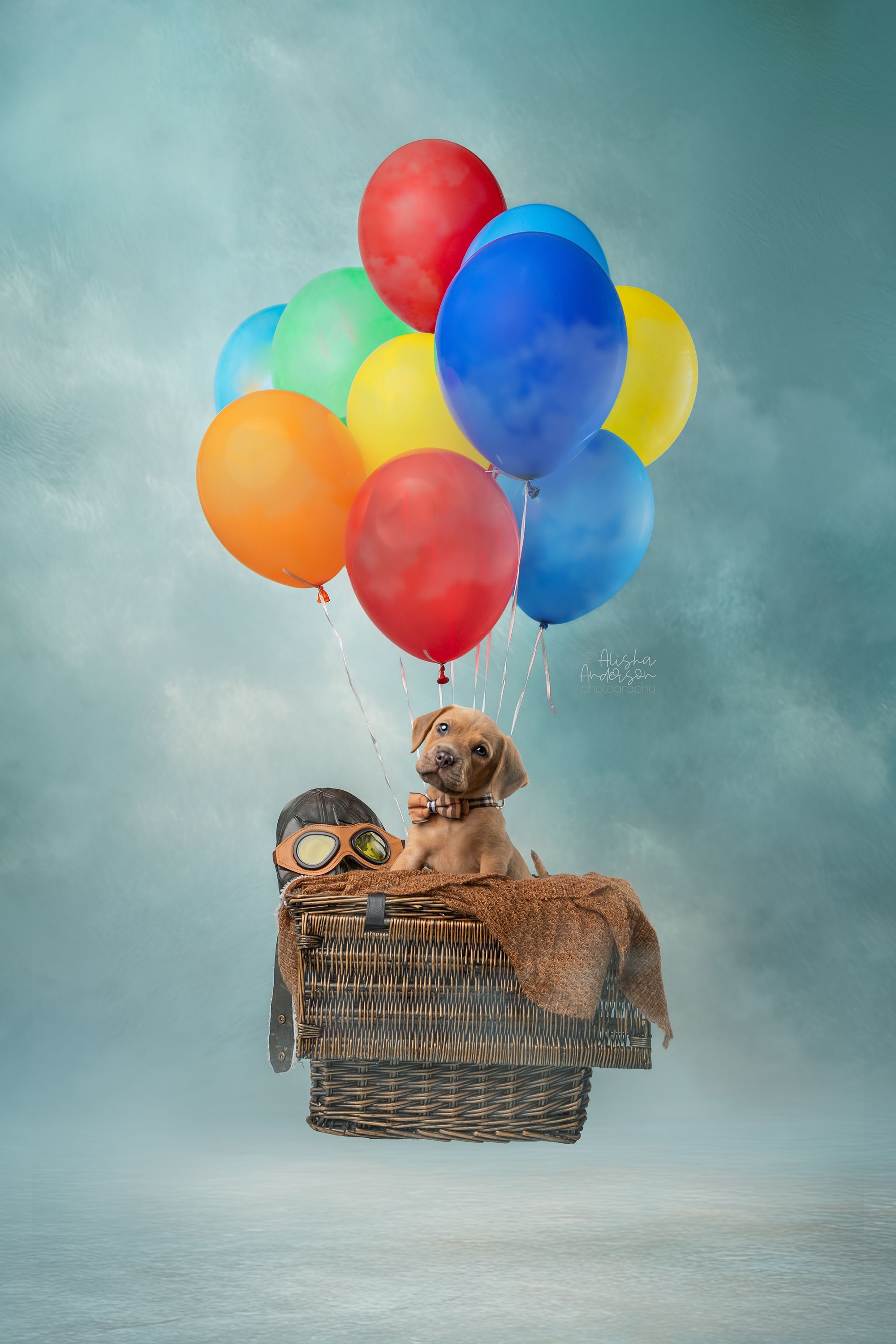 Cute puppy sitting in a wicker basket with colorful balloons, wearing aviator goggles, floating in a dreamy sky.