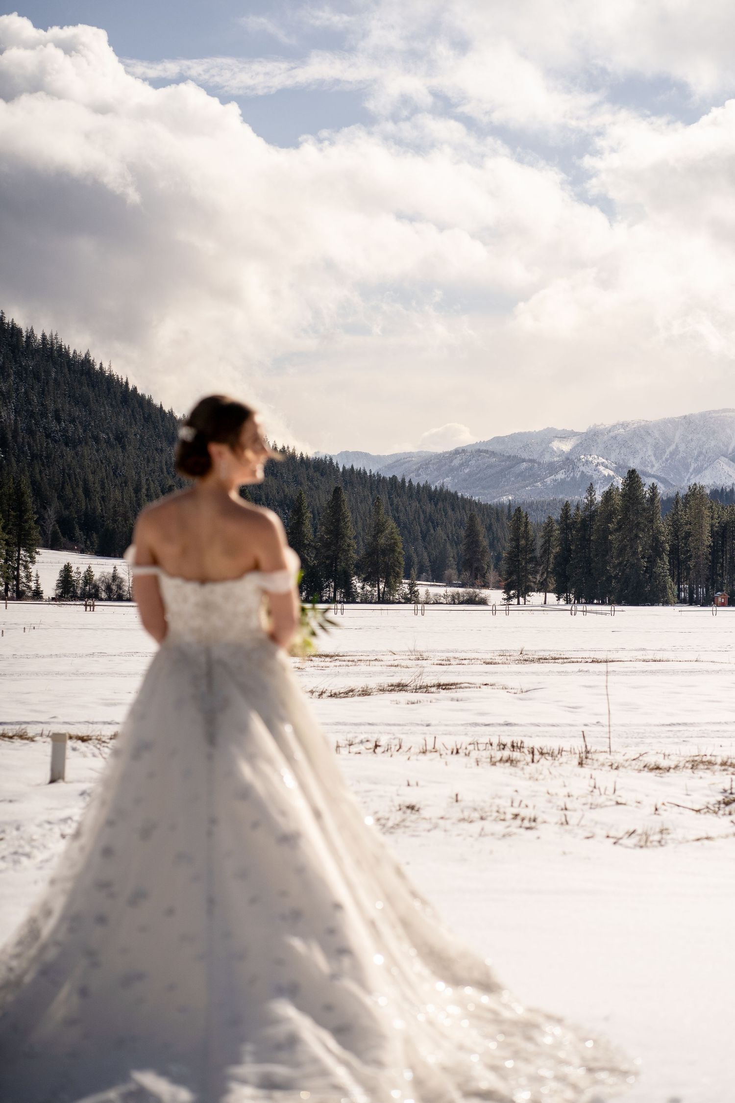 A bride in a white gown stands in a snowy landscape with mountains in the background.