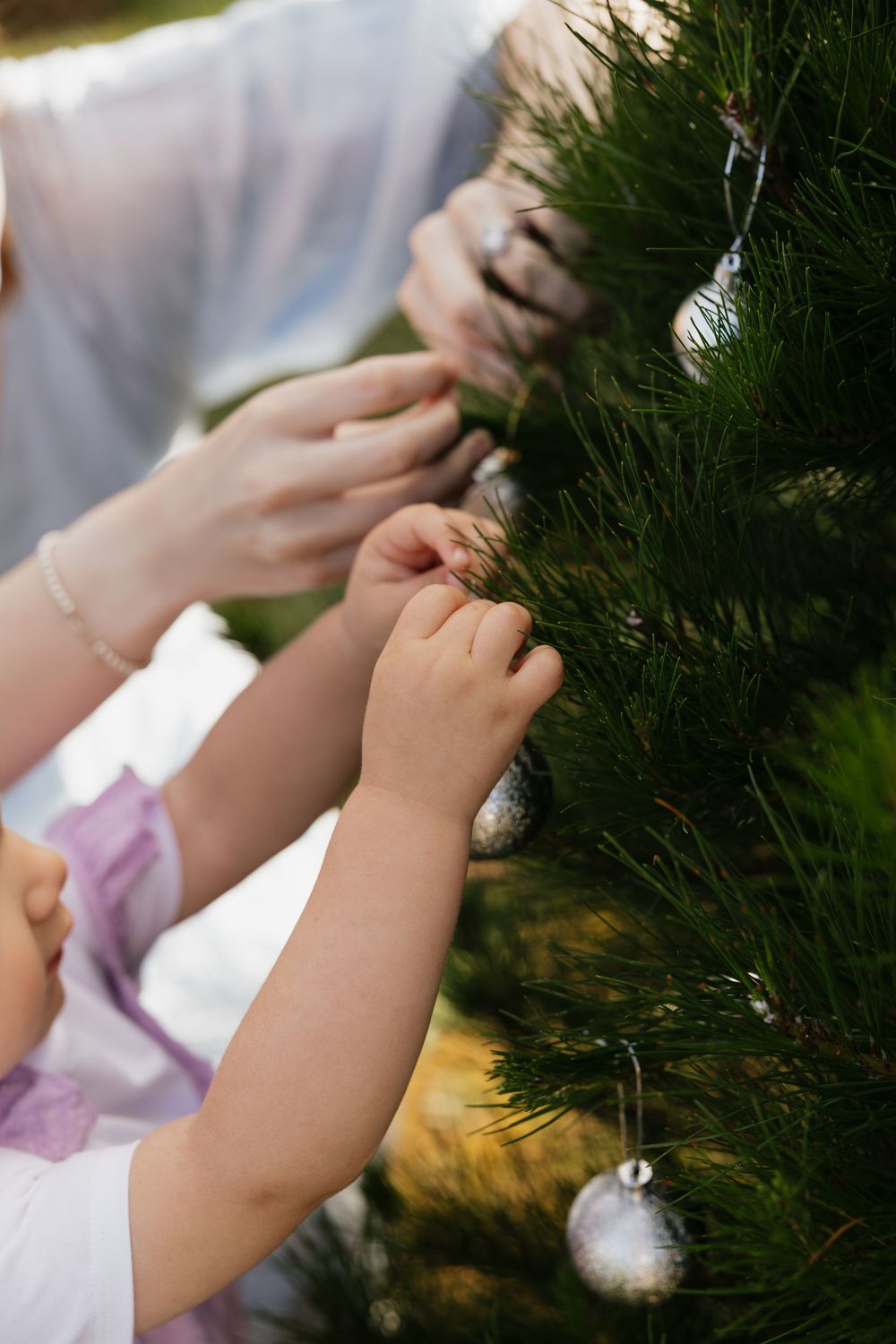Close-up shots of hands touching evergreen branches with white ornaments at Christmas tree farm.