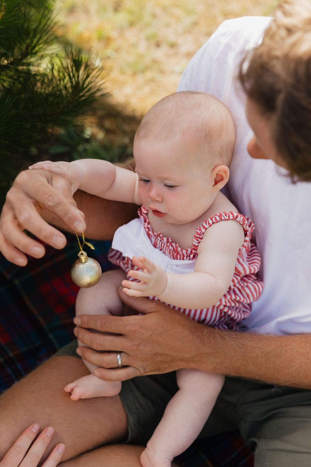 Baby in red and white dress reaches for a silver Christmas ornament with adult hands supporting at Christmas tree farm.