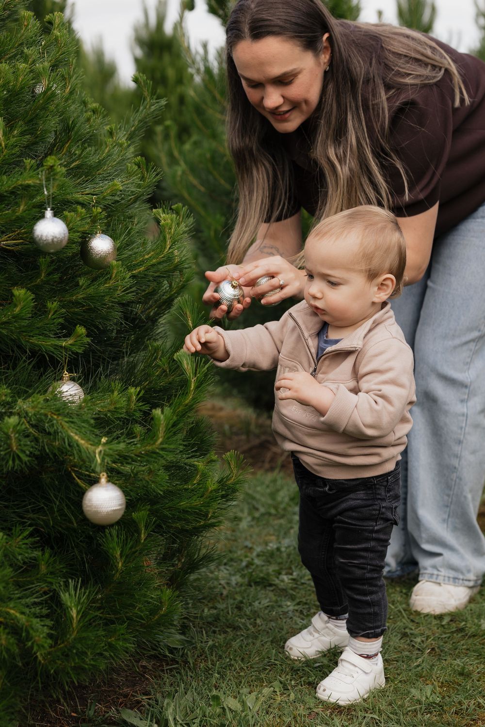 Young child in beige sweater explores silver ornaments on evergreen Christmas trees outdoors at Christmas tree farm.