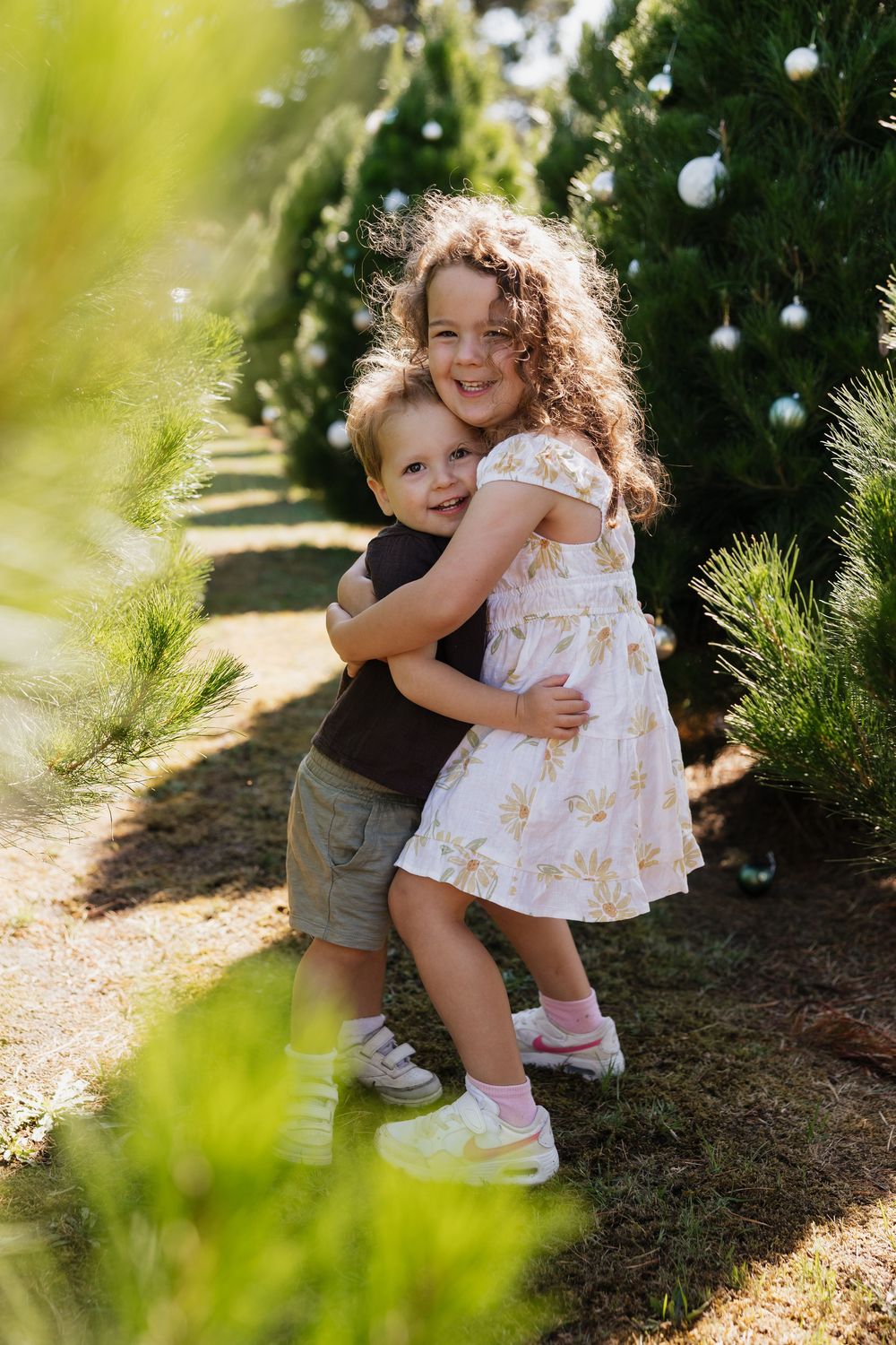 Children playing and hugging among evergreen trees decorated with Christmas ornaments at Christmas tree farm.