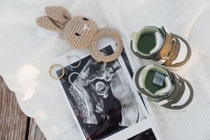 A collection of black and white photos arranged with a green succulent plant and vintage decor items on a white surface.
