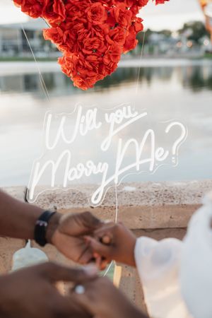 A red carnation flower rests on a stone surface with handwriting visible in white text.
