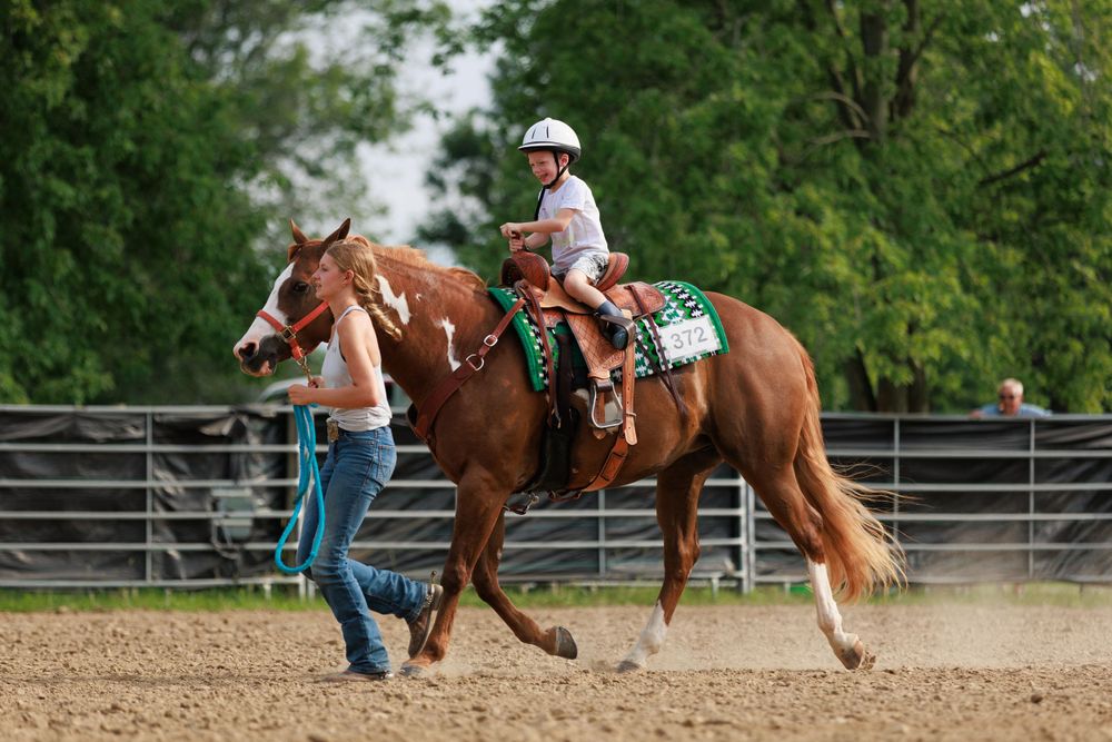 Small child being led on horseback for a peewee competition at local fun show.
