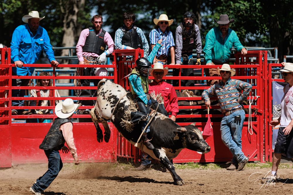 High School Rodeo bull riding event, the young man is on a black and white bull and doing well.