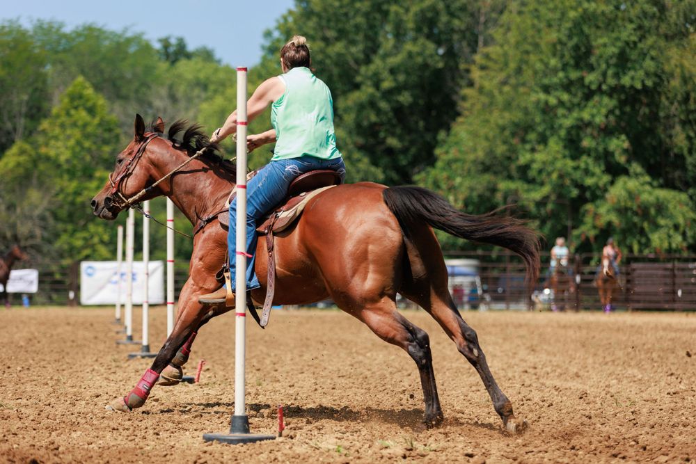 Bay horse and rider turning the end pole of a pole bending competition.