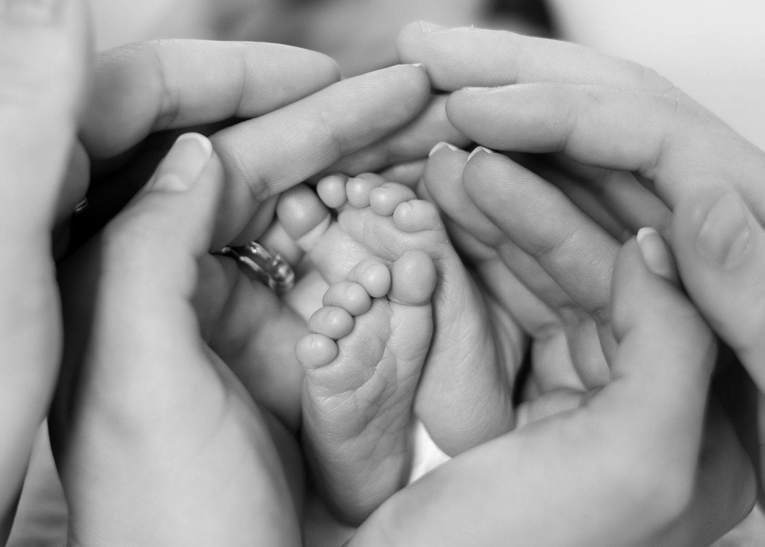 A black and white close-up image of tiny baby feet being gently held by adult hands.