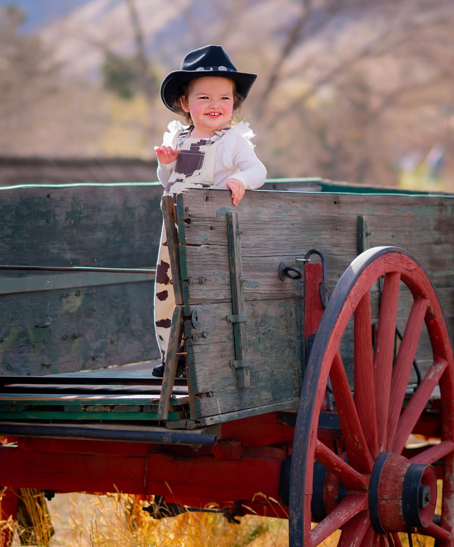Smiling toddler in cowboy hat standing in vintage red and green wooden wagon outdoors.