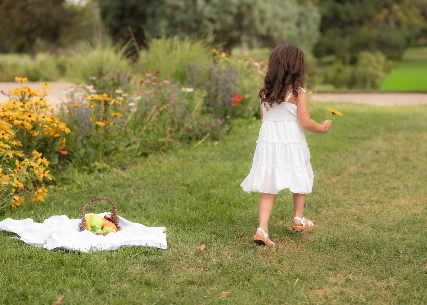 A little girl in a white dress walks toward colorful garden flowers, with a picnic blanket on green grass nearby.