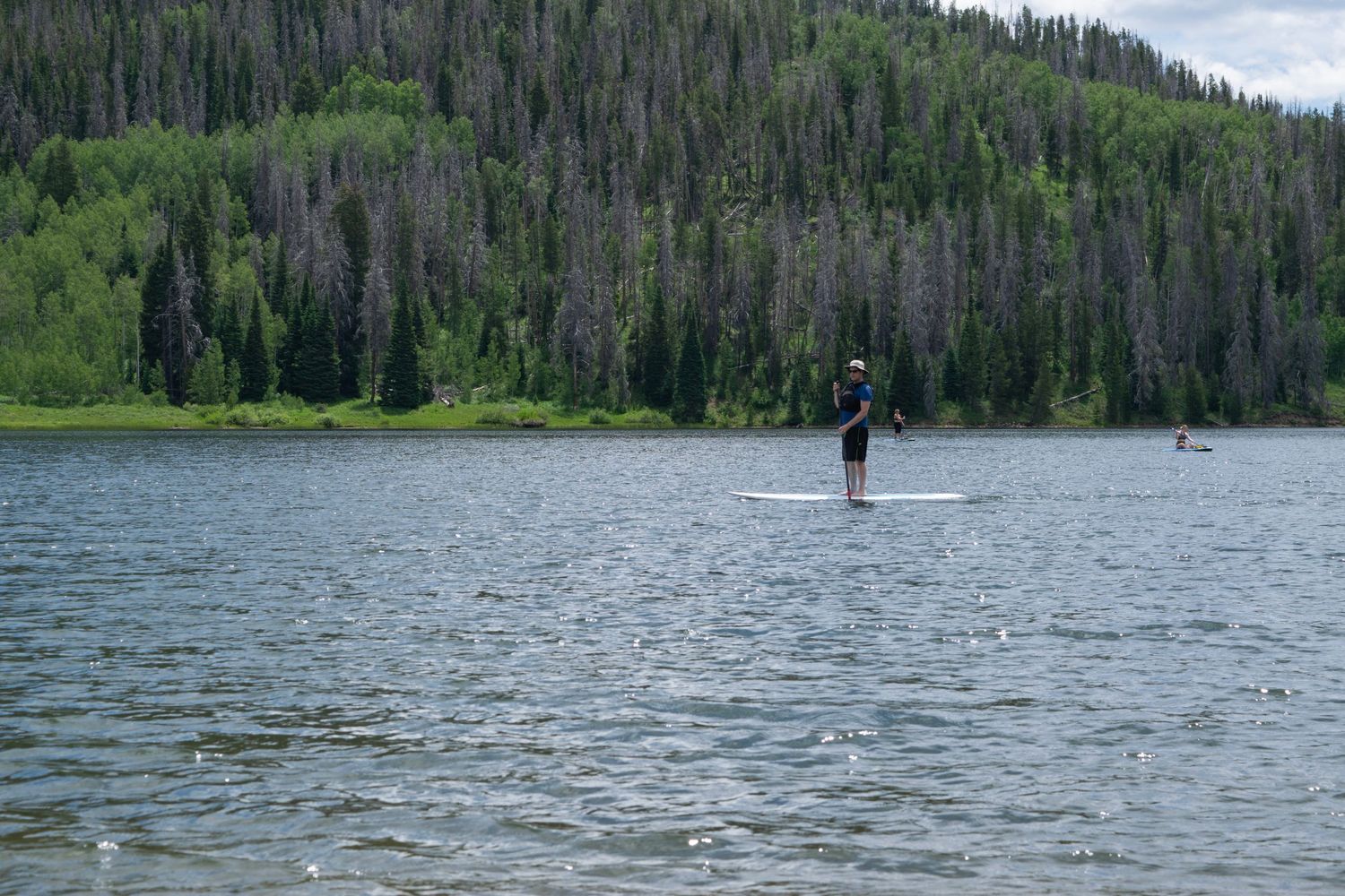 Lone paddleboarder on a tranquil mountain lake surrounded by pine forest.