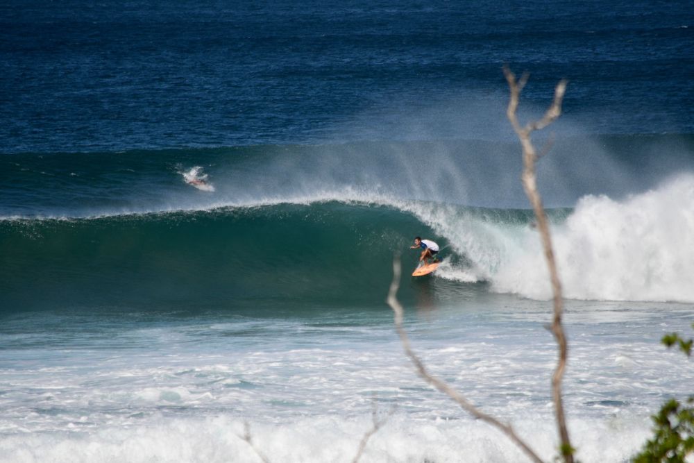 A series of surfing action shots showing dramatic rides on ocean waves during ideal conditions.