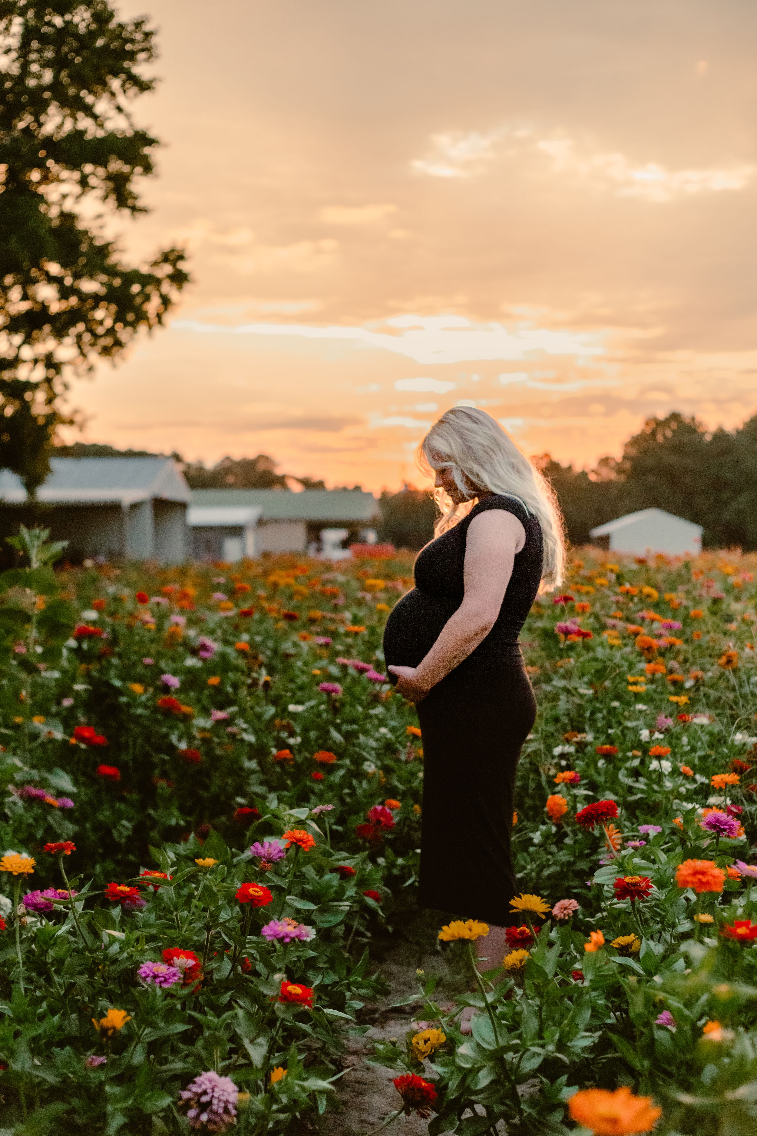 fayetteville north carolina nc fort brag affordable photographer photography cost friendly budget maternity flower field pregnant couples