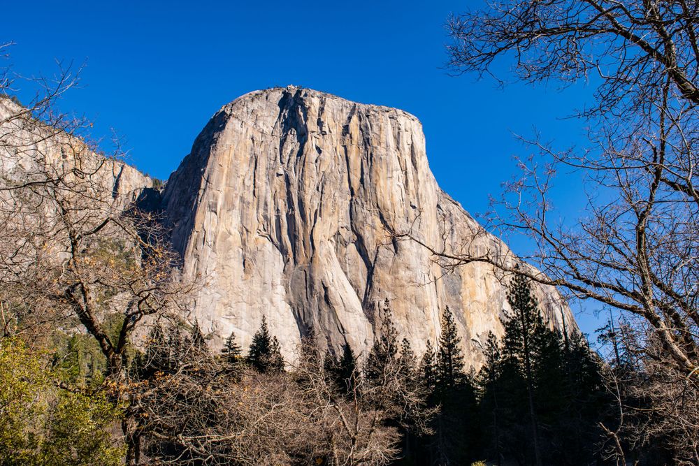 El Capitan's massive granite face towers over Yosemite Valley against a bright blue sky.