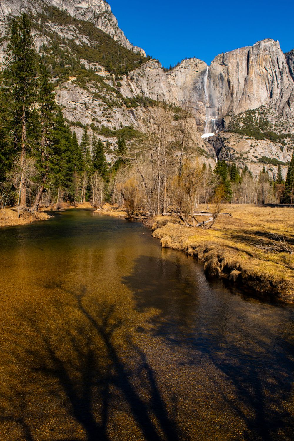 Merced River flows past towering cliffs and Yosemite Falls in winter landscape.