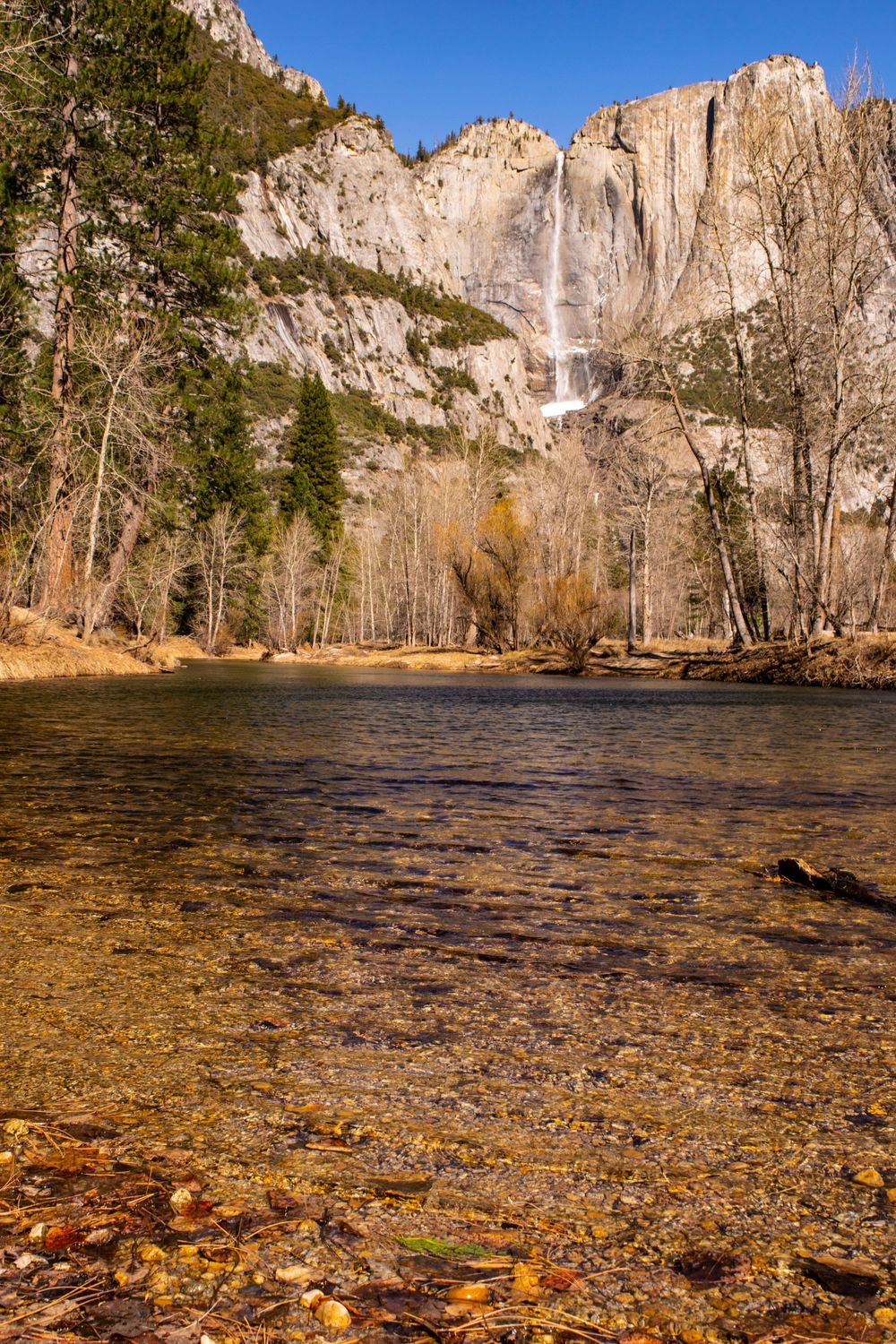 Yosemite Falls cascades down granite cliffs with clear river in foreground.